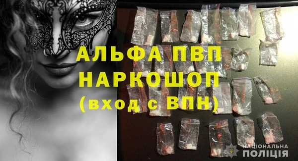 эйфоретик Гусь-Хрустальный