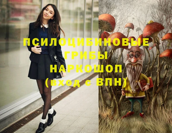 твердый Гусев