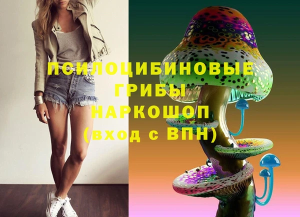 эйфоретик Гусь-Хрустальный